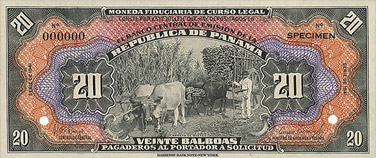 oxen