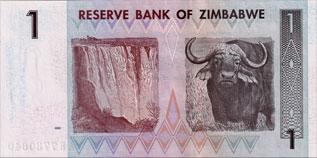 girafe de l'afrique du sud