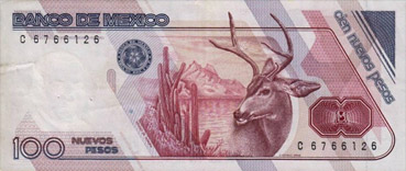 deer