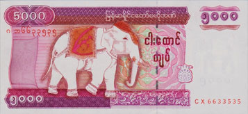 elephant d'asie