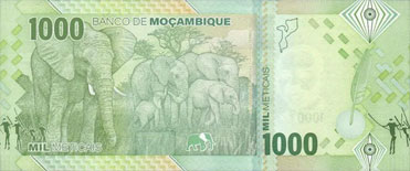 elephants d'afrique