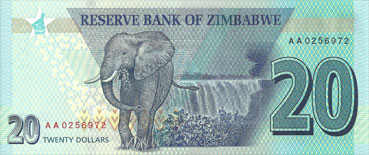 girafe de l'afrique du sud