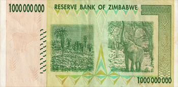 girafe de l'afrique du sud