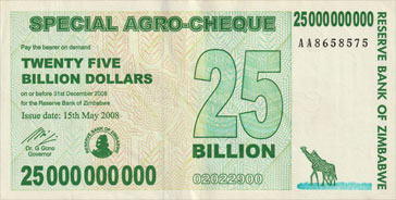 girafe de l'afrique du sud