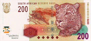 léopard d'afrique