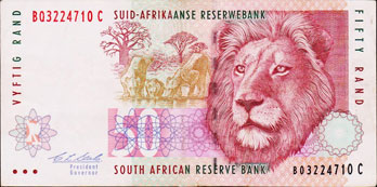lion du Transvaal