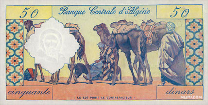 camel caravane