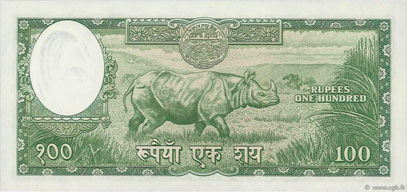 rhinoceros