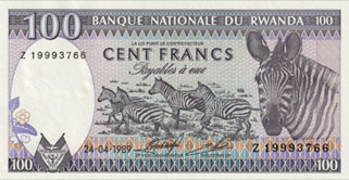 zebre de burchell