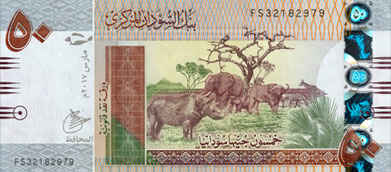 Equus quagga borensis