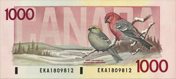 grosbeaks